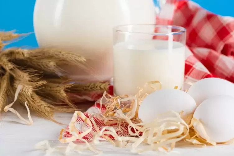 eggs and milk for an oral diet